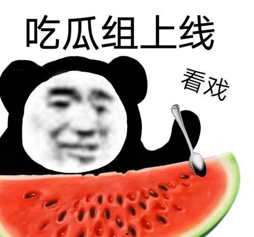 沙雕吃瓜富婆在线爆红免费阅读,网络爆红背后的故事
