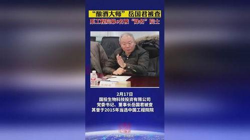 酿酒大师的头条号,传统技艺与现代创新的完美融合