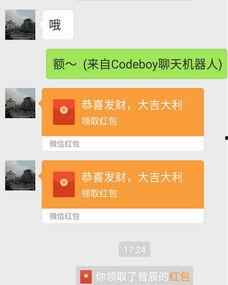 红缘网自动聊天回复,一键解锁高效互动新体验
