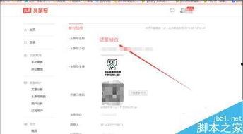怎样找回我的头条名字,揭秘头条名字找回攻略