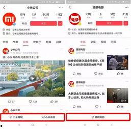 濮阳今日头条小程序电话,电话解锁本地新鲜事，尽在掌握！
