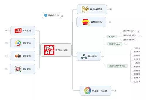 龙文区 新闻头条网,聚焦最新动态，洞察区域发展脉搏