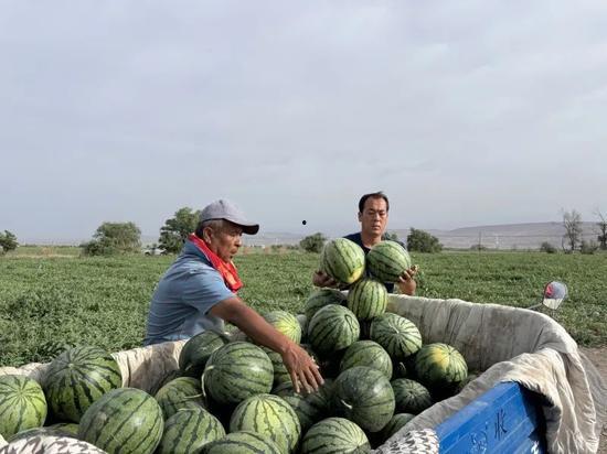 朱辉吃瓜,揭秘娱乐圈幕后故事