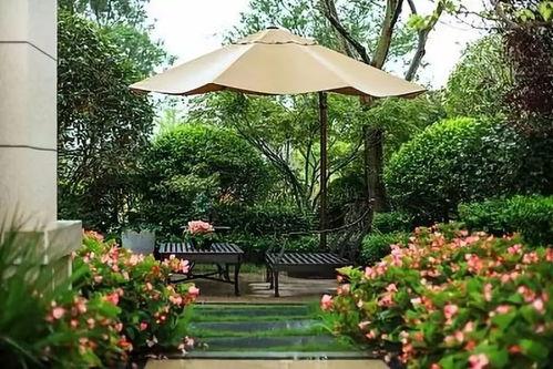 院子吃瓜乘凉图片大全,吃瓜乘凉，共享清凉时光