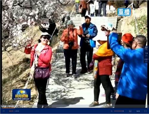 桃花山村新闻头条