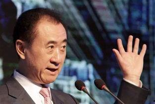 王健林头条知识节,解码商业智慧与未来趋势