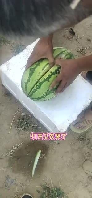 石缝瓜熟透了怎么吃