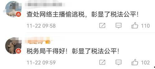 两网红被罚9千多万