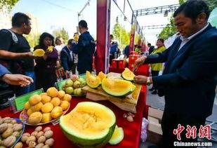 邵阳最新吃瓜爆料视频,揭秘神秘事件真相！