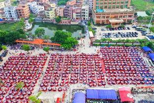 陈华伟年例请明星2016