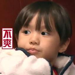 娱乐吃瓜君景甜,娱乐圈的甜蜜瓜果,甜蜜背后的故事