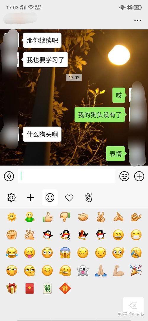 微信吃瓜表情不见了