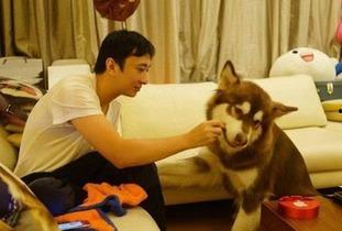 娱乐吃瓜酱救狗还是救人,救狗还是救人的道德抉择