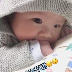 娱乐吃瓜酱宝宝视频