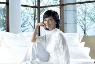 娱乐吃瓜赵雅芝,岁月如歌，娱乐界的常青树