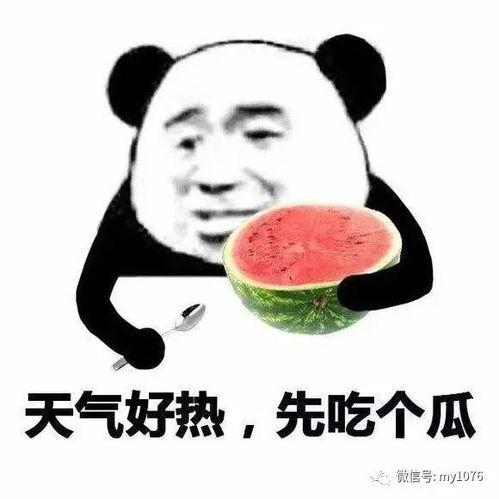 娱乐先锋君吃瓜