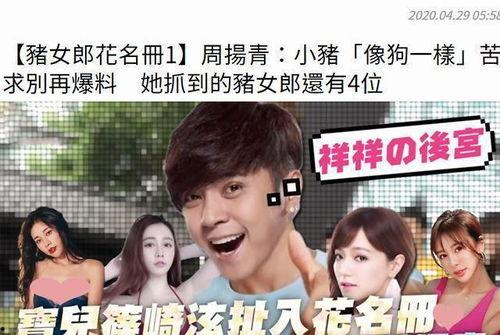 娱乐圈吃瓜系统小说