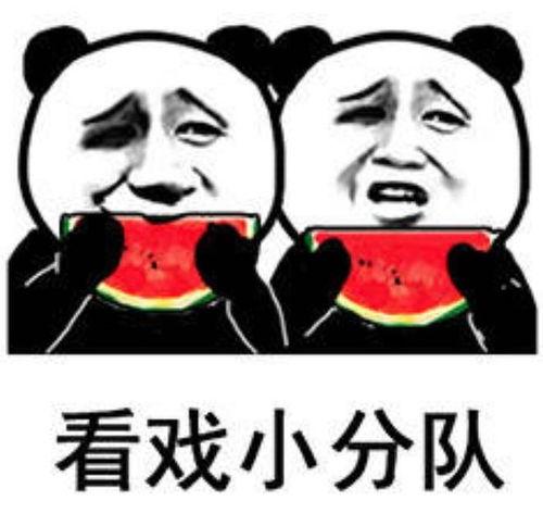 吃瓜表情包意思,吃瓜群众视角下的娱乐圈风云