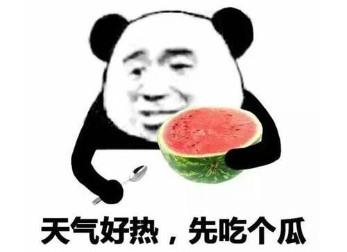 吃瓜的表情什么意思,揭秘网络社交中的趣味与内涵