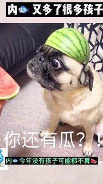 娱乐吃瓜酱宝宝是谁