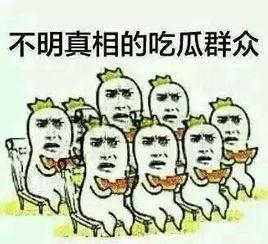 娱乐吃瓜群文案搞笑,笑料百出,吃瓜群众笑翻天!